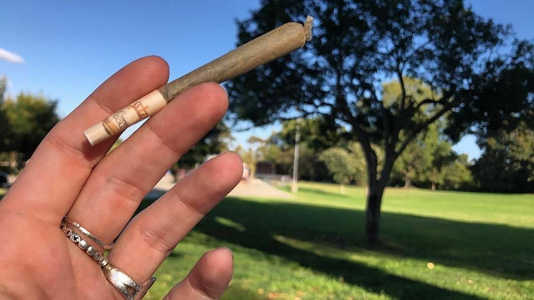 a hand holding a pre-roll with a custom branded filter with a park in the background
