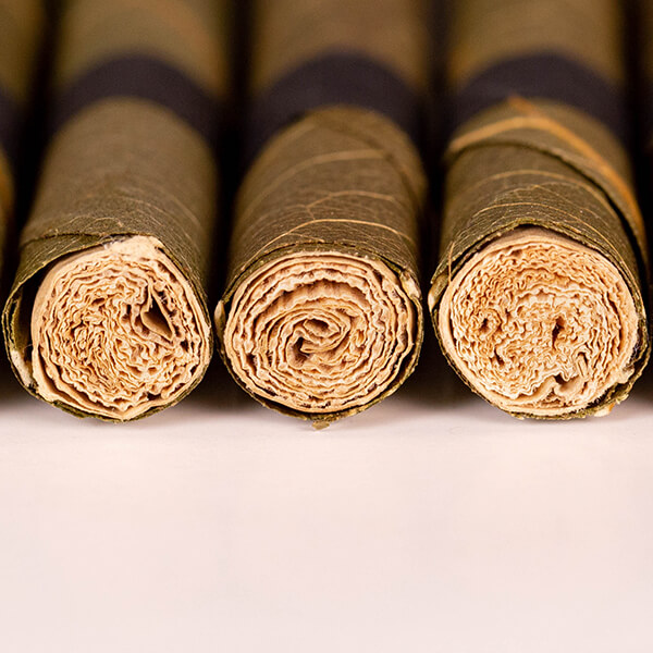 a row of corn husk filters inside palm leaf blunt wraps