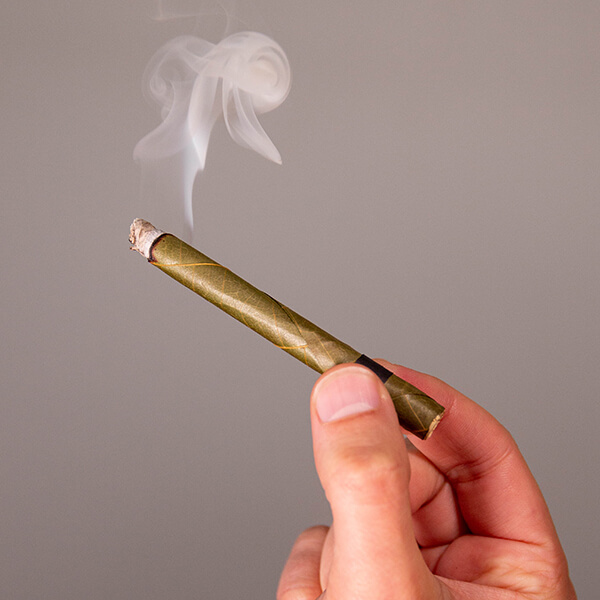 a hand holding a cordia palm-leaf blunt wrap that is lit with white smoke billowing at the tip