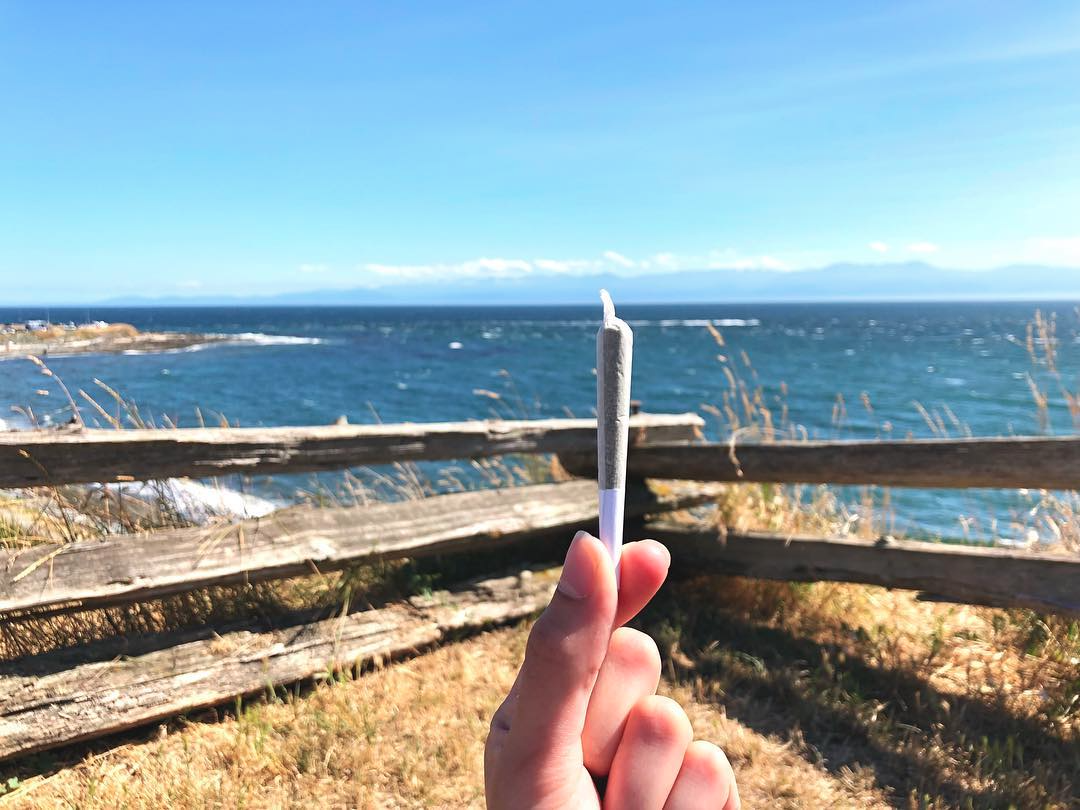 a hand holding up a pre-roll with a white filter tip with the ocean in the backgroun