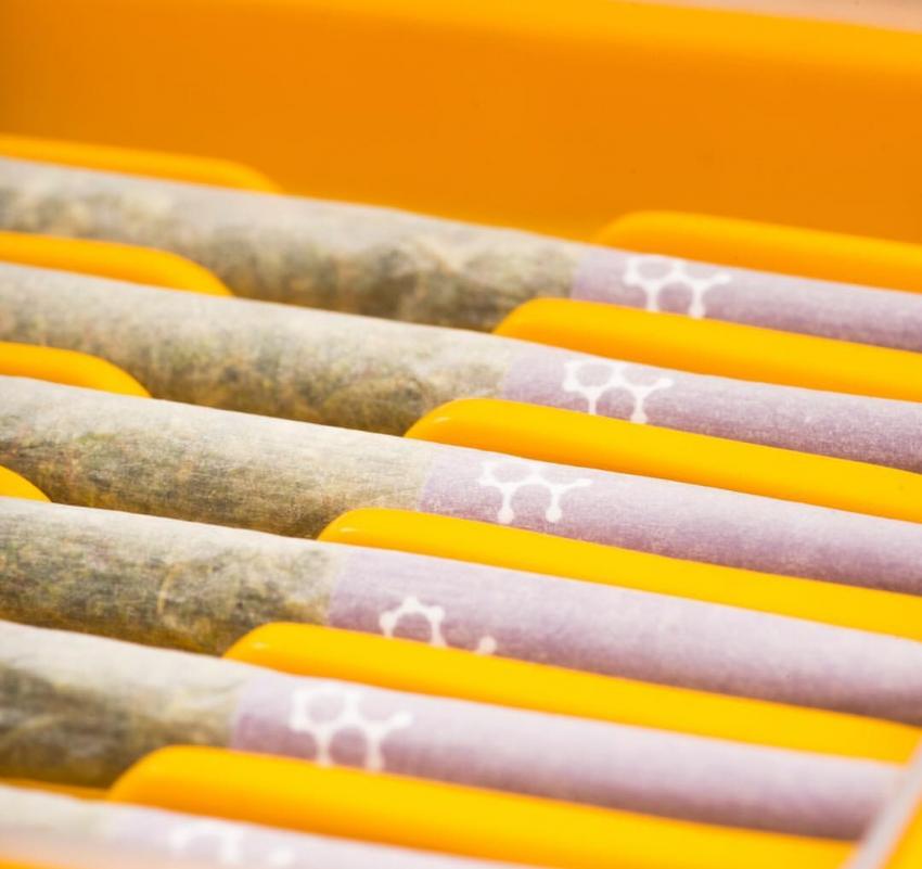 A row of pre-rolls in custom packaging with purple crutches bearing the THC molecule